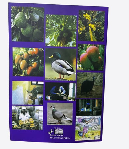 Mon cahier d'exercices en developpement personnel - CE2